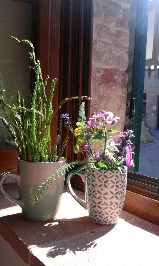 Petroio Casa Vacanze "Nonna Vela" מראה חיצוני תמונה